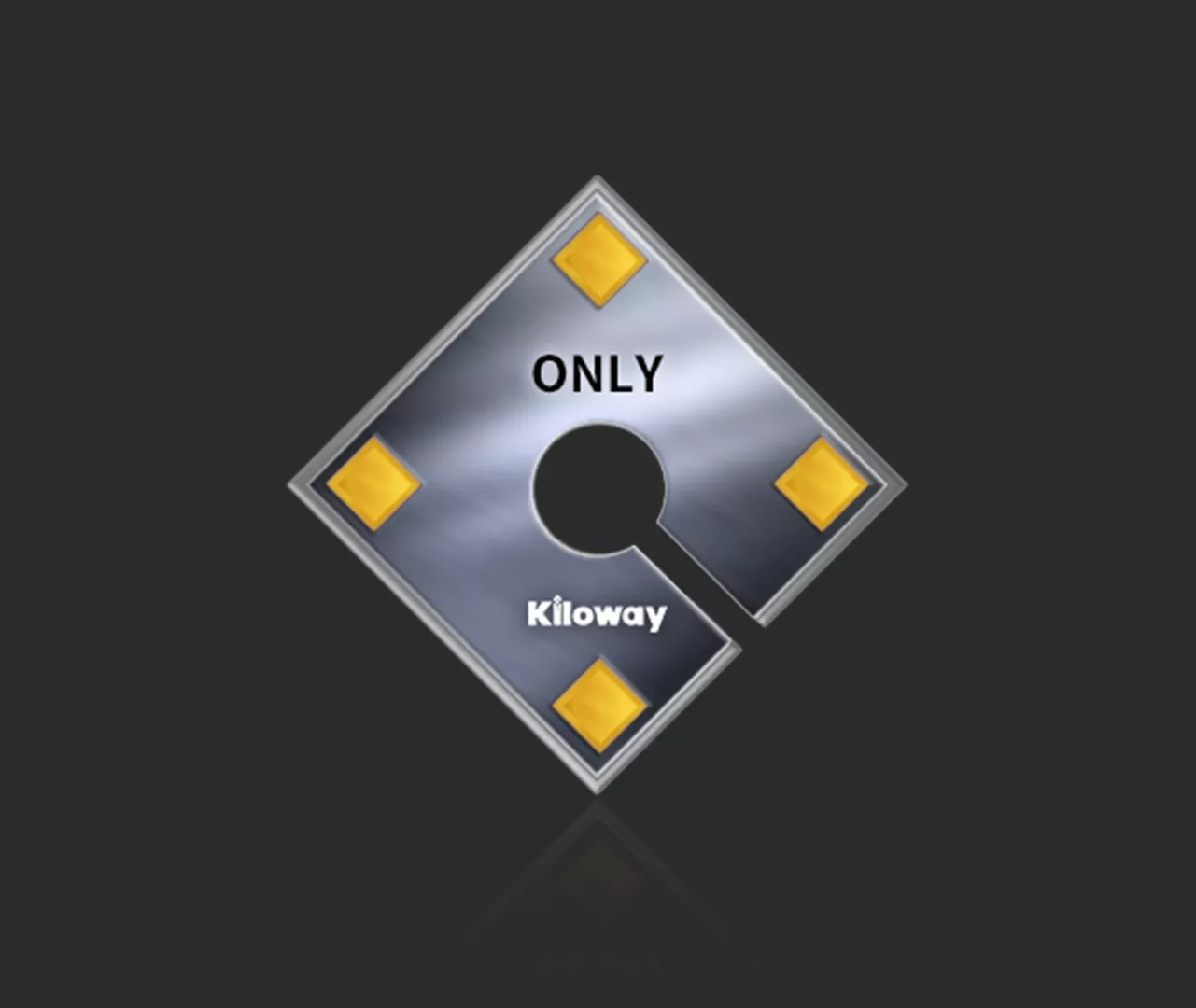 ONLY 系列只读芯片